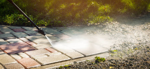 Best Animal Enclosure Cleaning  in Minier, IL